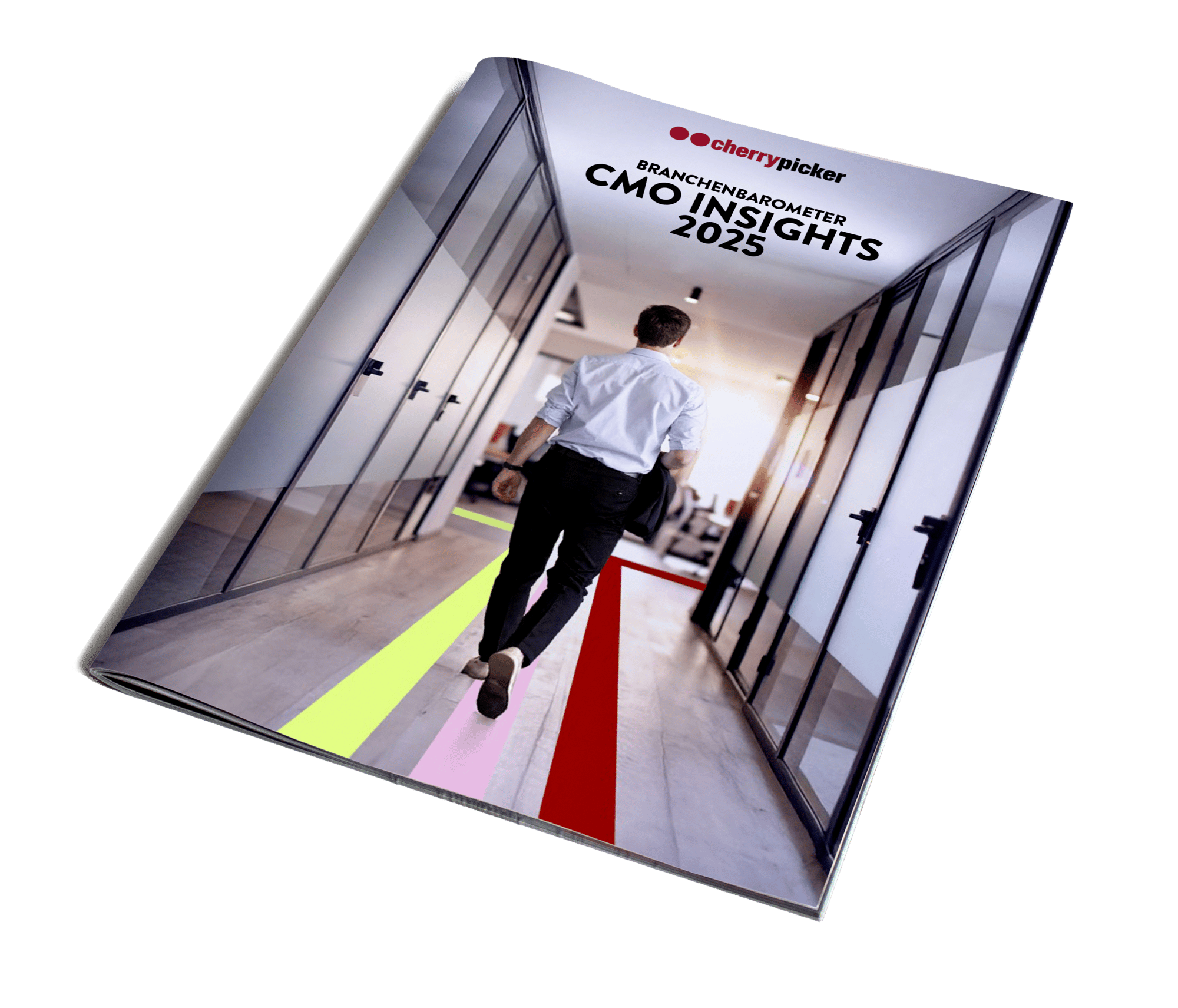 CMO Insights Mock-up